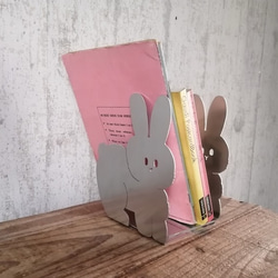 毛茸茸的兔子書架 第4張的照片