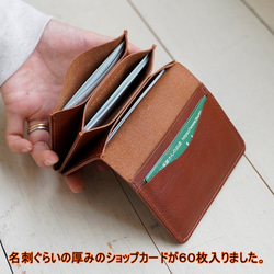 Card Case　蛇腹　BROWN 第5張的照片