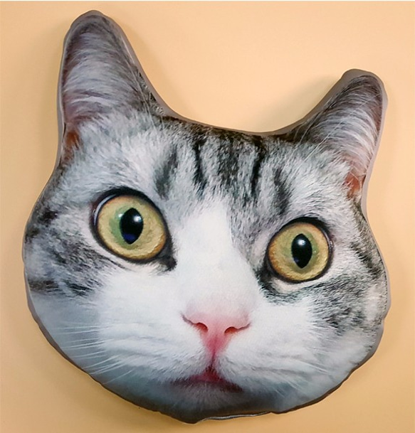 客製化寵物抱枕(兩個) ♥ 一個大頭+一 個全身 ♥ 豆豆枕Bean Bag | 自選圖片 雙面印製 獨特心意 第5張的照片
