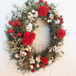 winter wreath2（直径25ｃｍリース） 2枚目の画像