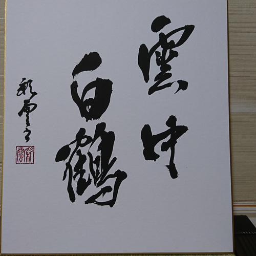 日本の書道 色紙 12枚セット 円覚慈雲 日本の書道 色紙 12枚セット 覚慈雲