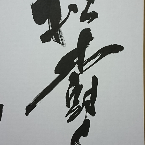 鵬雲斎大宗匠 膿ん 松樹千年翠 色紙