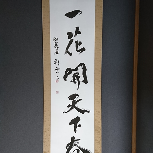 掛軸 立部瑞祐 一花開智天下春 書 仁和寺管長 4-15 掛軸 立部瑞祐 一花開智天下春 書 仁和寺管長 4-15
