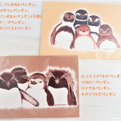 PENGUIN BIG 4 ポストカード【8枚セット】 3枚目の画像