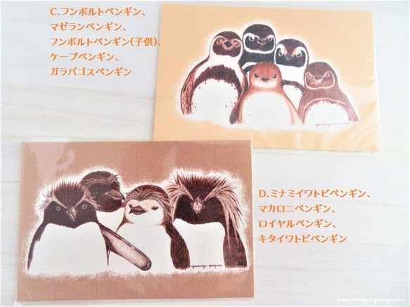 PENGUIN BIG 4 ポストカード【8枚セット】 3枚目の画像
