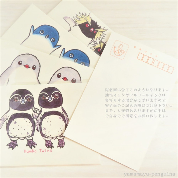 ふたごのペンギンたちポストカード－シリーズ(1)－【4枚セット】 6枚目の画像