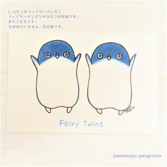 ふたごのペンギンたちポストカード－シリーズ(1)－【8枚セット】 2枚目の画像