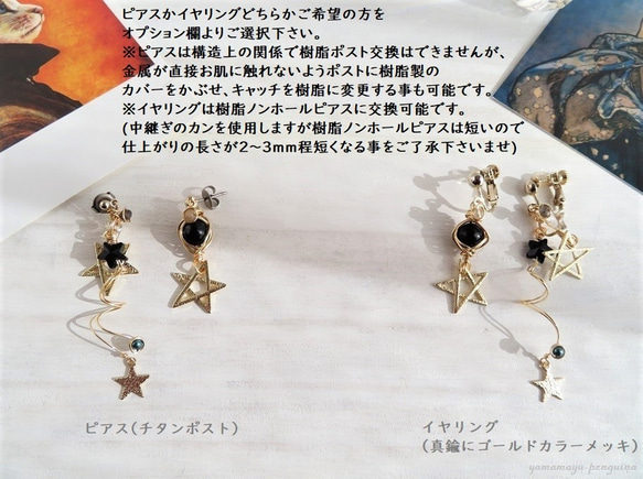 【販売終了】BLACK STARDUST Accessory Set (B) 3枚目の画像