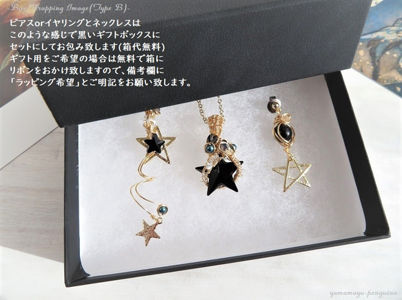 【販売終了】BLACK STARDUST Accessory Set (B) 10枚目の画像