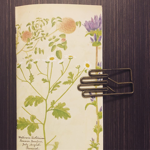 ひーちぇ　ジャンクジャーナル ジャンクジャーナル