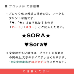 【再販4】名入れトートバッグ　選べるカラー&フォント♡お散歩バッグ/ランチバッグ/母の日のプレゼント/ギフト lunch 5枚目の画像