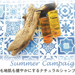 【期間限定キャンペーン】éclat coco〈エクラ・ココ〉汗かく夏にシャンプー２本セットキャンペーン 1枚目の画像