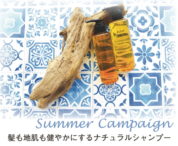 【期間限定キャンペーン】éclat coco〈エクラ・ココ〉汗かく夏にシャンプー２本セットキャンペーン 1枚目の画像