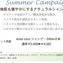 【期間限定キャンペーン】éclat coco〈エクラ・ココ〉汗かく夏にシャンプー２本セットキャンペーン 2枚目の画像