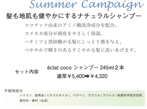 【期間限定キャンペーン】éclat coco〈エクラ・ココ〉汗かく夏にシャンプー２本セットキャンペーン 2枚目の画像