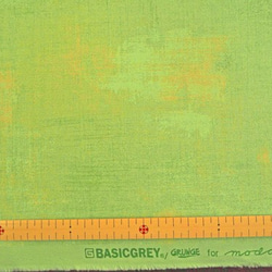 Evergreen Holly Grunge by BASIC GRAY 3枚目の画像
