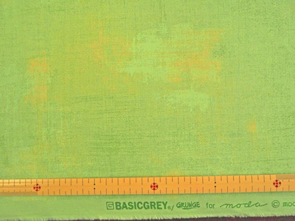Evergreen Holly Grunge by BASIC GRAY 3枚目の画像