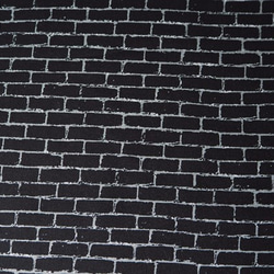DAPPER PRINTS / SOLIDS WALL / PATENT BLACK　modafabrics 2枚目の画像
