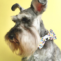 FRENCHIE時尚生活新款寵物法鬥狗全棉領結 第1張的照片