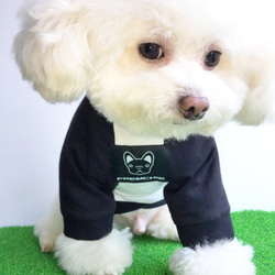 Frenchieの新しいファッション四季の綿の長袖Tシャツ犬服 2枚目の画像