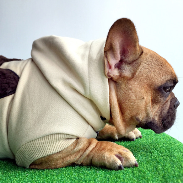 FRENCHIE秋冬新款寵物時尚全棉加厚保暖狗衛衣 第2張的照片
