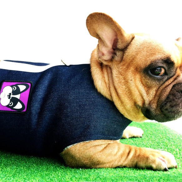 Frenchieの新しい冬のファッションの綿のデニムのペットの犬は、ブカレストのビロード暖かい衣類を活用します 1枚目の画像