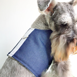 FRENCHIE秋冬新款寵物時尚全棉牛仔布加絨保暖狗胸背衣 第2張的照片