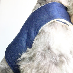 FRENCHIE秋冬新款寵物時尚全棉牛仔布加絨保暖狗胸背衣 第4張的照片