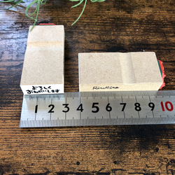 非常感謝 [12 x 28 毫米] 橡皮圖章 * R500_o 第4張的照片