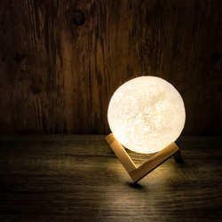 ブセファランドラ　ムーンライト　Moon Light Amazon | ゼンスイ ストロング ムーンライトランプ 100W