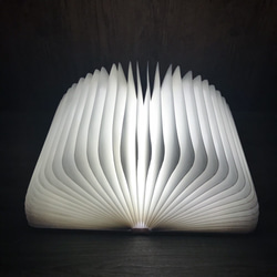 魔法の本　大　ブックライト　本のライト　５色LED 4枚目の画像
