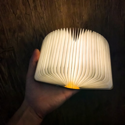 魔法の本　小　ブックライト　本のライト　電球色　LED 1枚目の画像