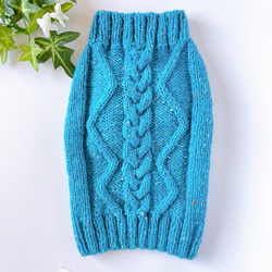 1_9aa111dbb1944d2e9ab99e17c5c5