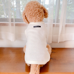 犬服　コーデュロイ風シンプルTシャツ　白　完成品 6枚目の画像