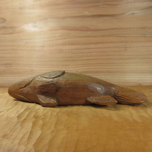 ハタ（アーラミーバイ）の木彫ペーパーウェイト（片面） 7枚目の画像