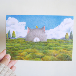 可愛動物插畫卡片 明信片(草原貓咪)（一套兩張） 第1張的照片