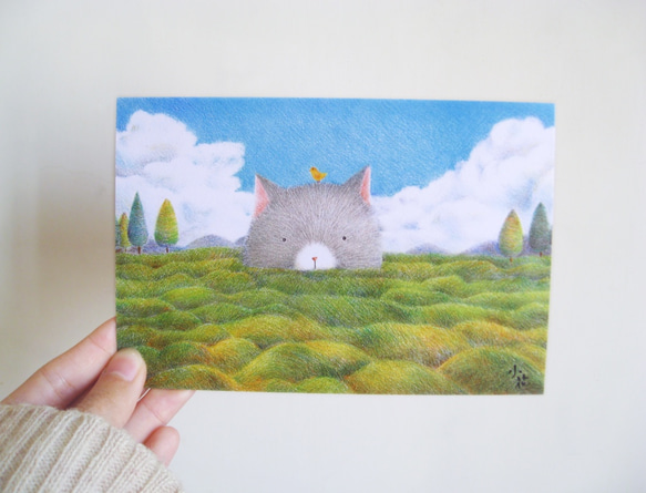可愛動物插畫卡片 明信片(草原貓咪)（一套兩張） 第1張的照片