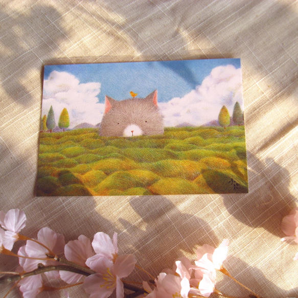 かわいいアニマルイラストレーターカードポストカード（プレーリーキッテン）（2本セット） 4枚目の画像