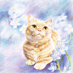 寵物貓狗肖像畫訂製 專業似顏繪 第3張的照片