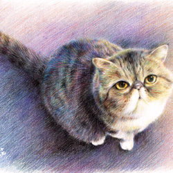 ペット猫の犬の肖像画カスタムメイドのプロの絵画 4枚目の画像