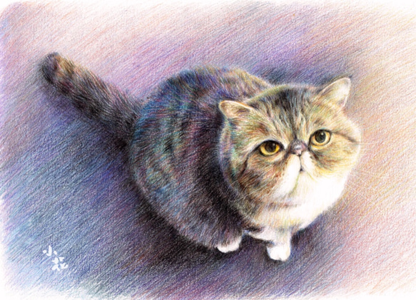 ペット猫の犬の肖像画カスタムメイドのプロの絵画 4枚目の画像