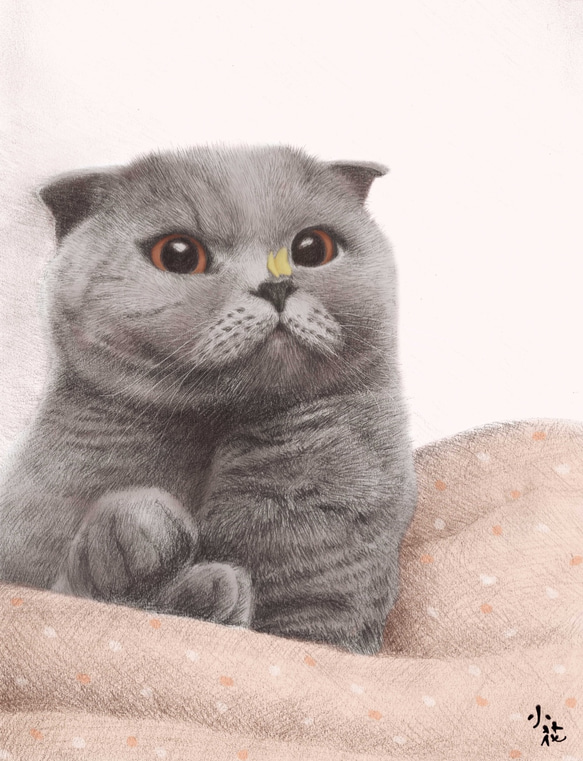 寵物貓狗肖像畫訂製 專業似顏繪 第9張的照片