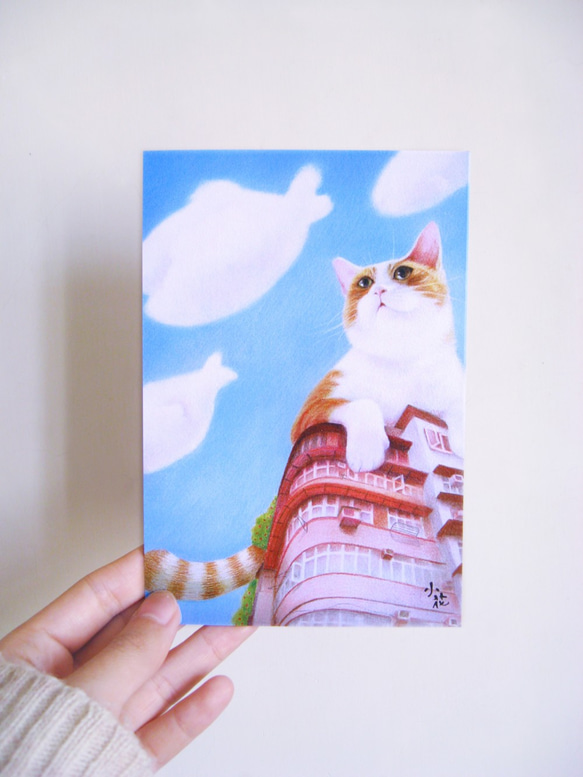 貓奴優惠限定明信片貼紙套裝 第3張的照片