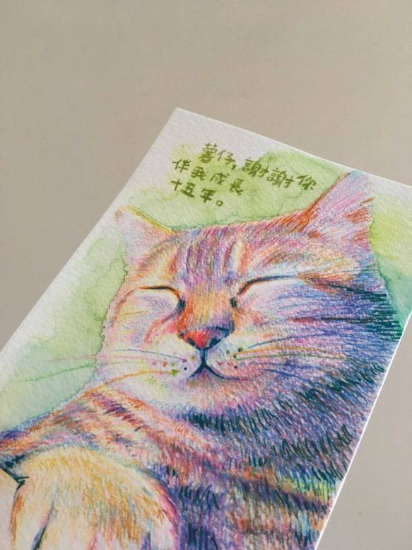 ペット猫の犬の肖像画カスタムメイドプロフェッショナル絵画（写真のフレームを送る） 9枚目の画像