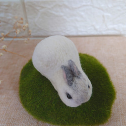 懶洋洋兔兔羊毛氈 鑰匙圈 擺飾訂製 第2張的照片