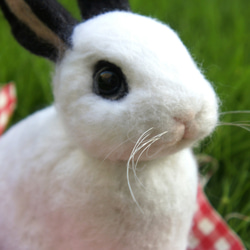 【希少】うさとの服　羊毛フェルトコ－ト　ウイメンズ 白うさぎ 羊毛フェルト manahata 通販 15096832｜Creema(クリーマ)