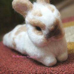 羊毛氈擬真兔兔訂製(15cm大) 第1張的照片