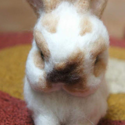 羊毛氈擬真兔兔訂製(15cm大) 第2張的照片