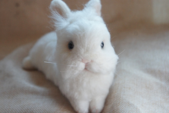 羊毛氈擬真兔兔訂製(10CM大) 第1張的照片