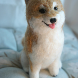 羊毛フェルト リアル柴犬 カスタマイズ (15cm大) 1枚目の画像